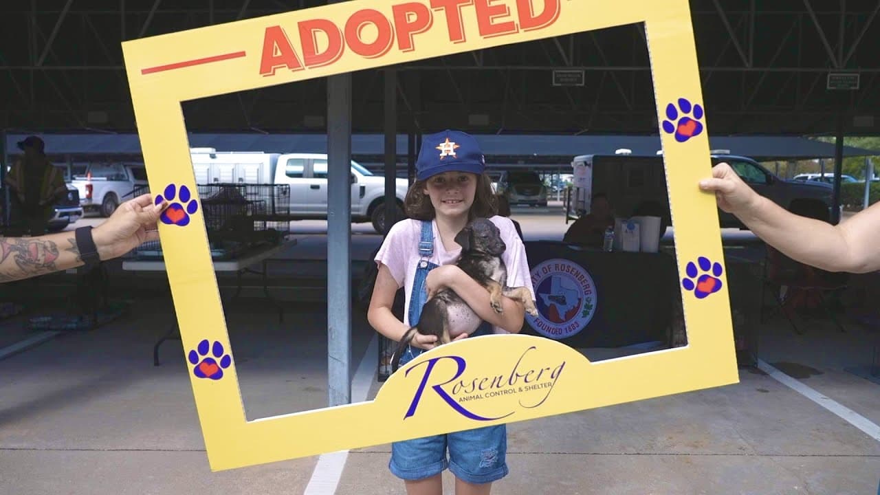 KW Southwest: Every Hound Needs A Home 2022 (Video)